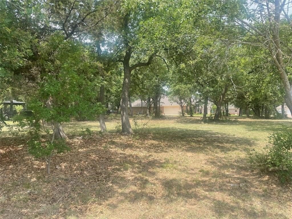 Picture 3