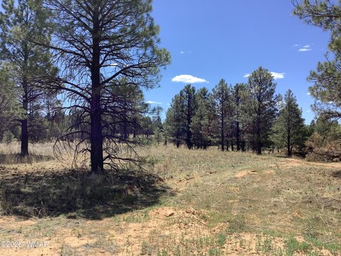 Land, Overgaard, AZ