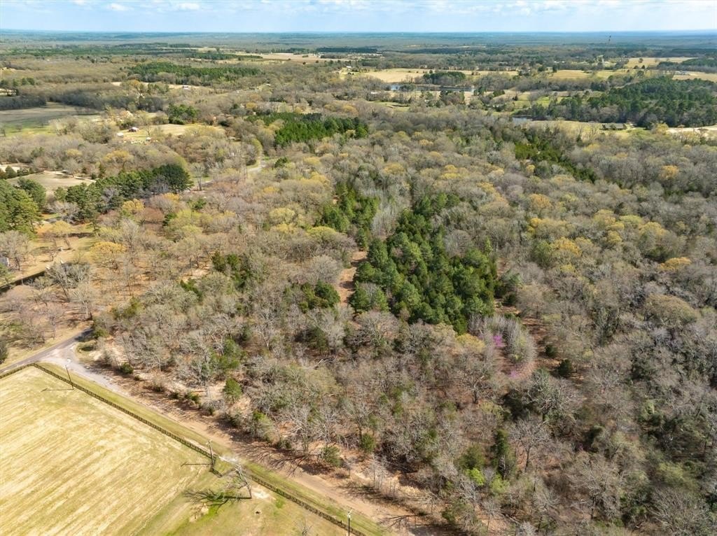 Picture 30