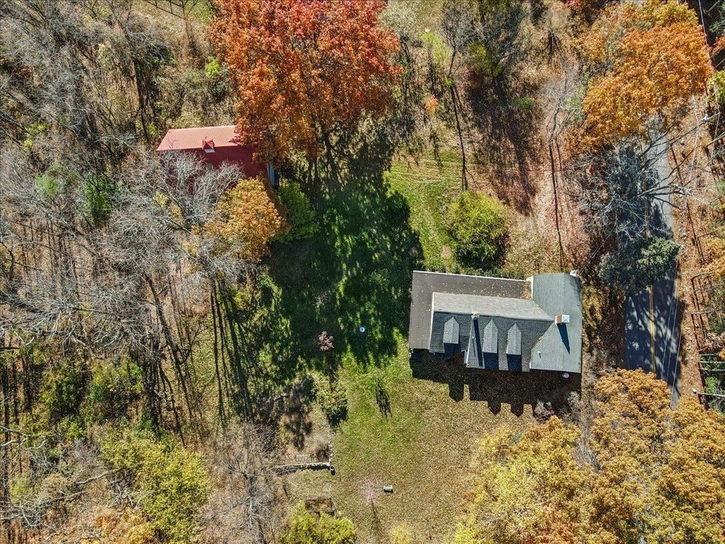 Picture 13