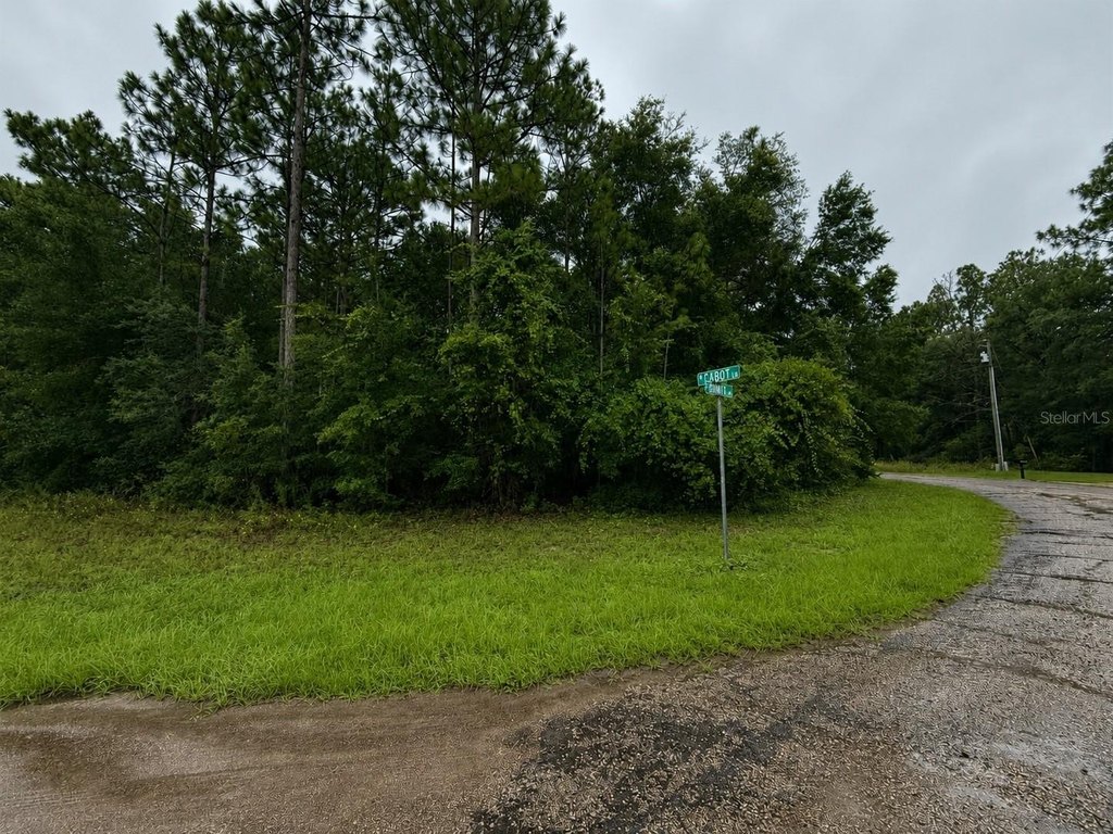 Picture 4