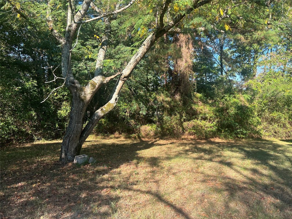 Picture 10