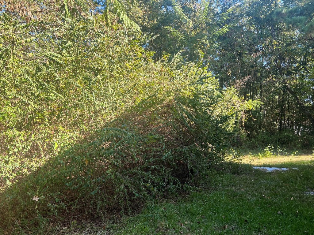 Picture 8