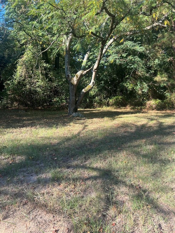 Picture 2
