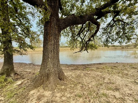 Unrestricted Ranchland with Two-Side Access