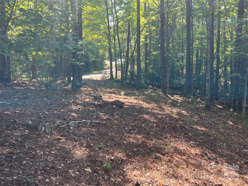 Picture 19