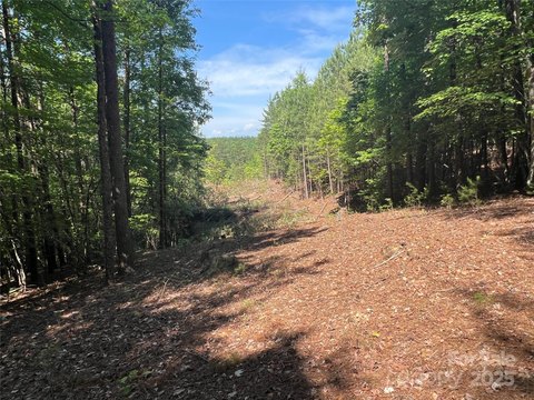 LAND - Nebo, NC