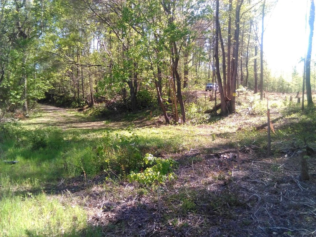 Picture 4