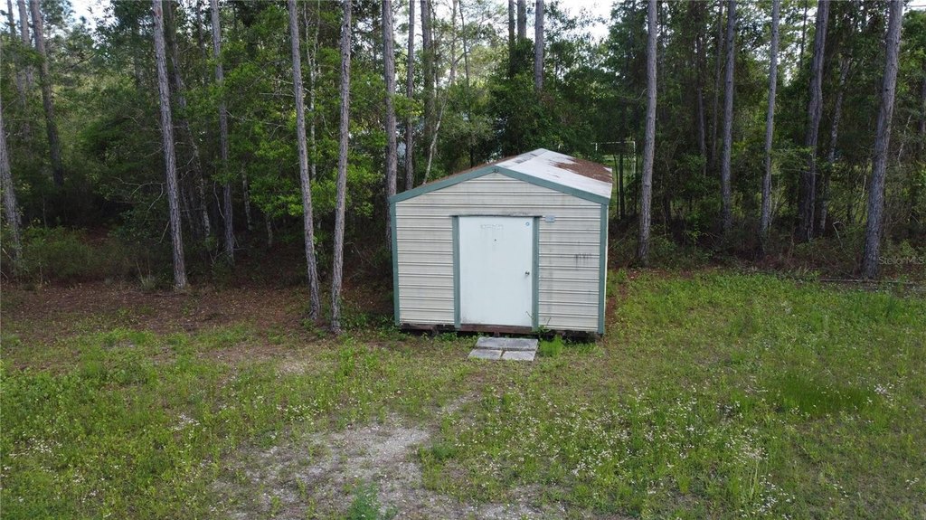 Picture 9