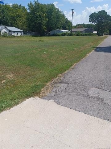 Picture 5