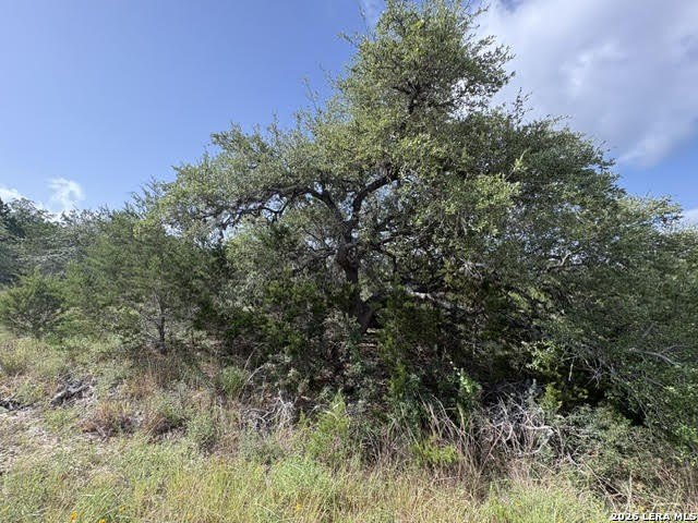 Picture 29