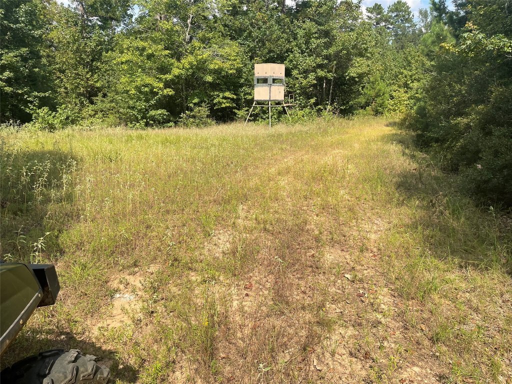 Picture 10
