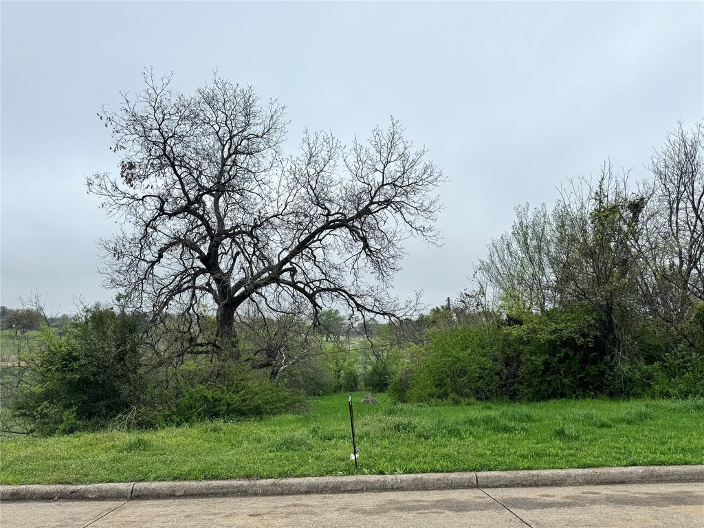 Picture 9