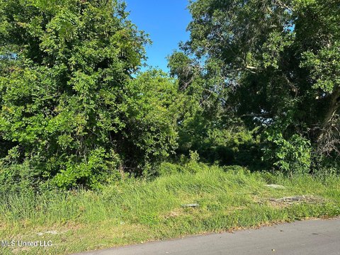 Gulfport Land Ready for Vision