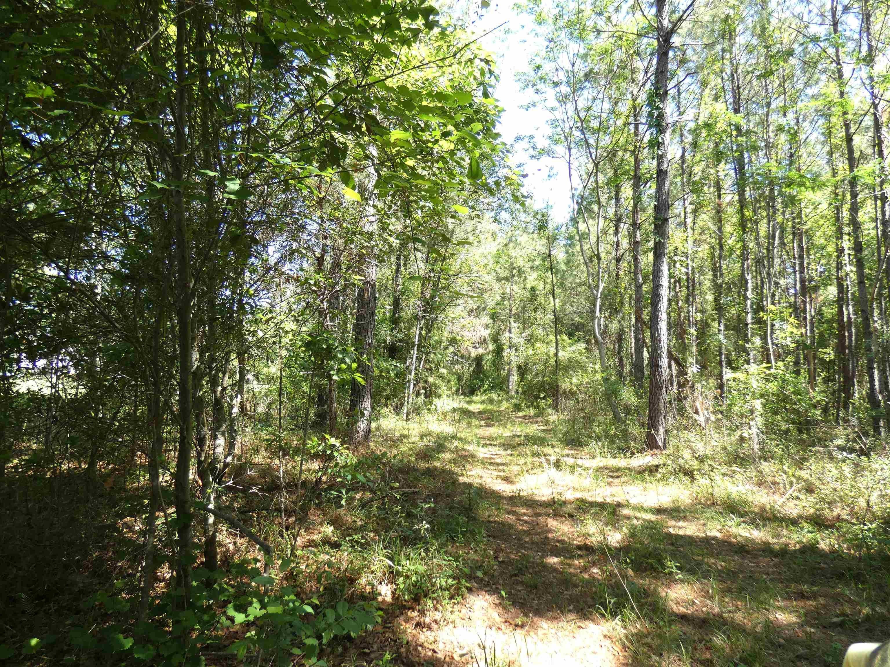 Monticello Land with Timber Value