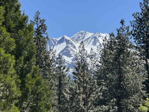 Land with Mountain Views