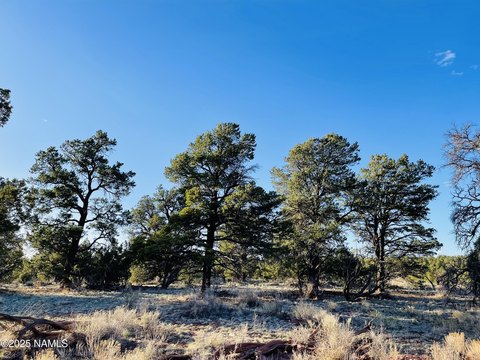 Woodland Ranch 10-Acre Land Parcel