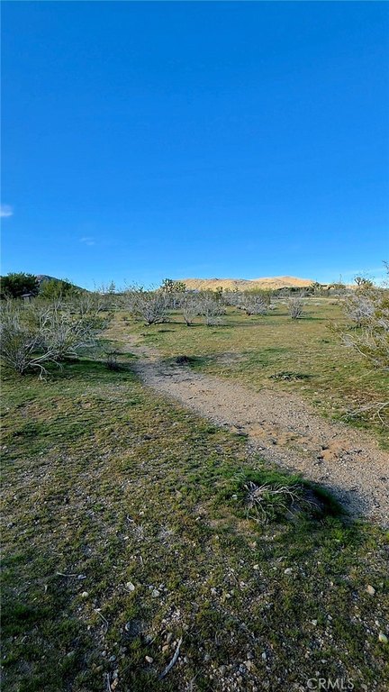 Picture 15