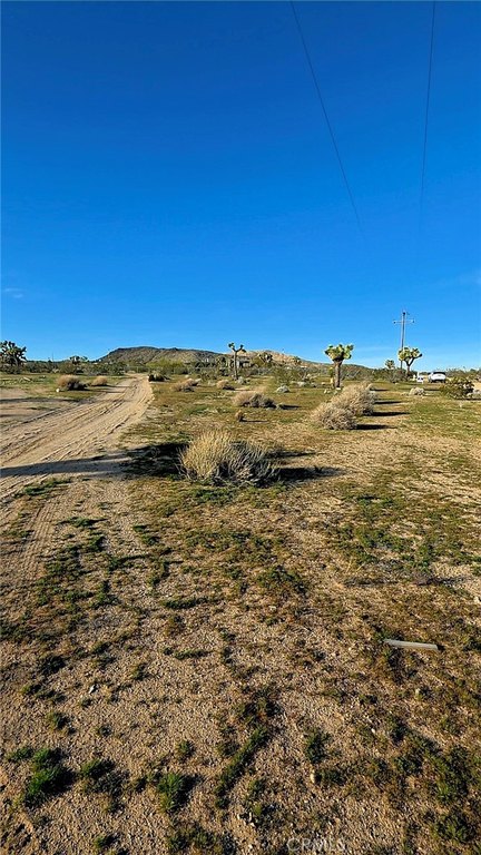 Picture 12