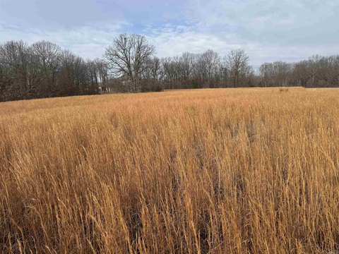 Residential Lot with Pond Access
