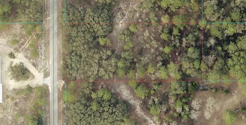 Wooded Lot in Rainbow Springs