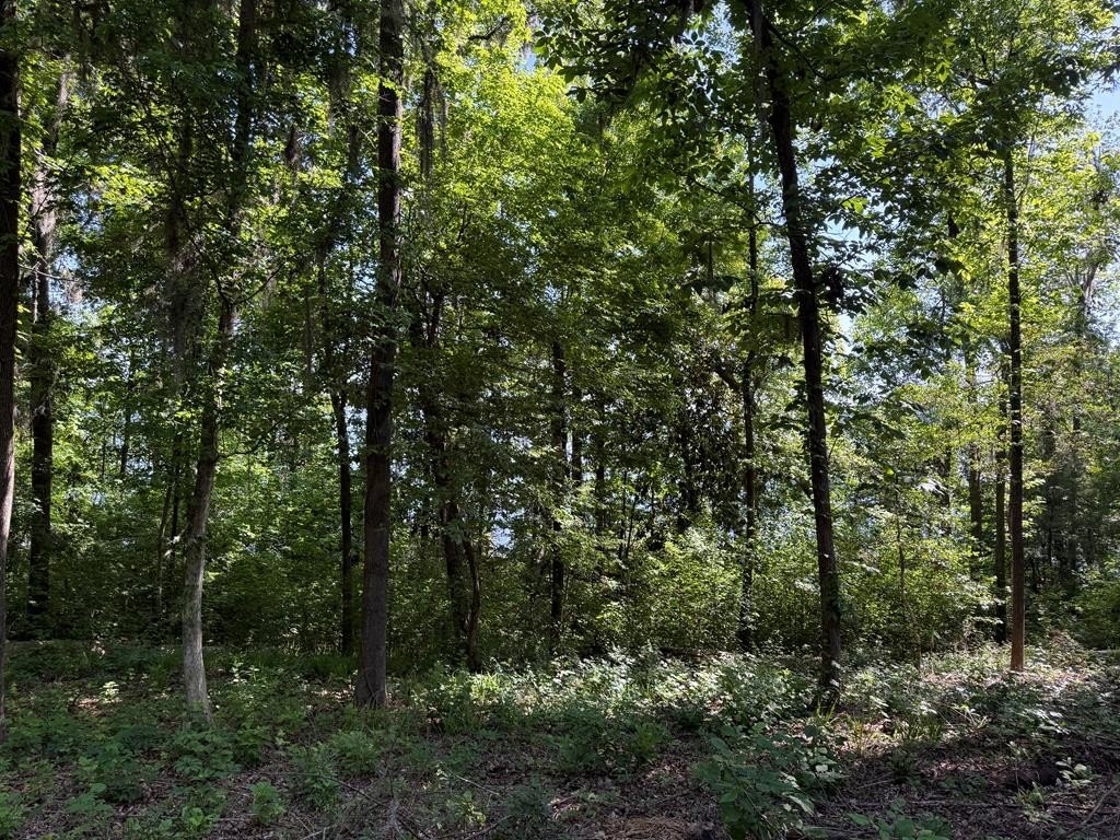 Waterfront Lot on Lake Seminole