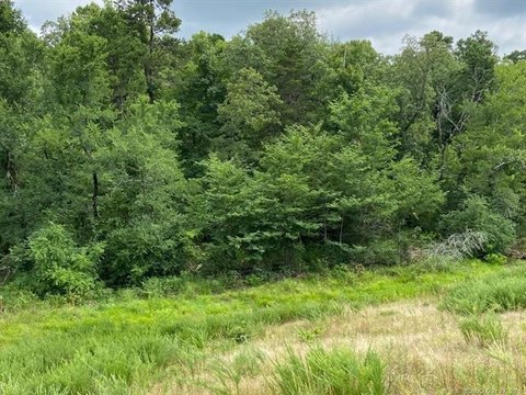 Ringold, OK Wooded Land