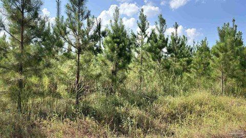 Land, Milton, FL