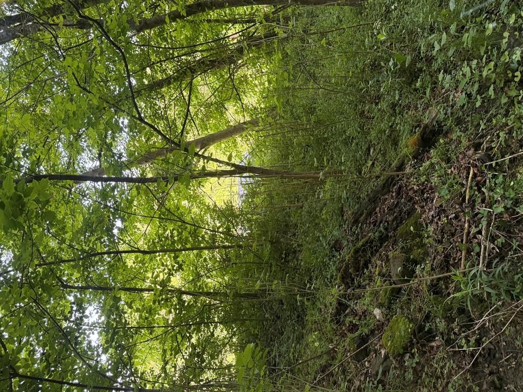 Picture 22