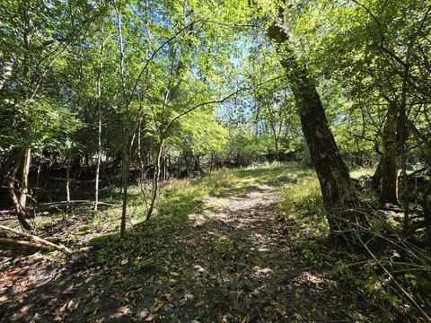 Land, Algonquin, IL