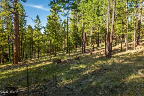 Greer, AZ Acreage