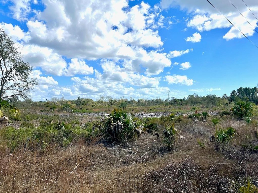 Picture 11
