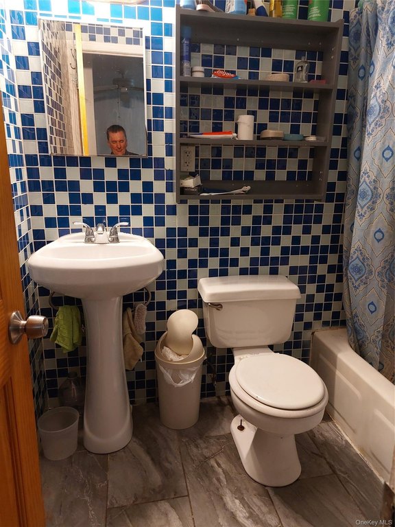 Picture 5