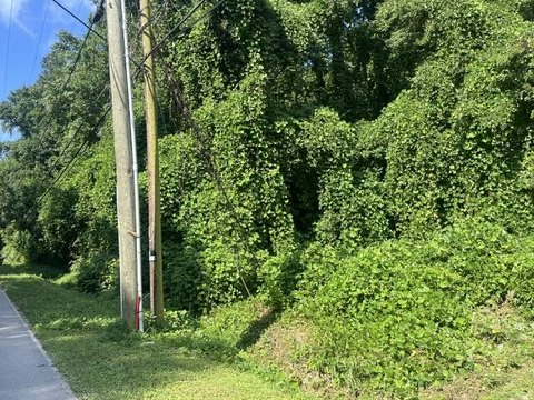 LAND - Soddy Daisy, TN