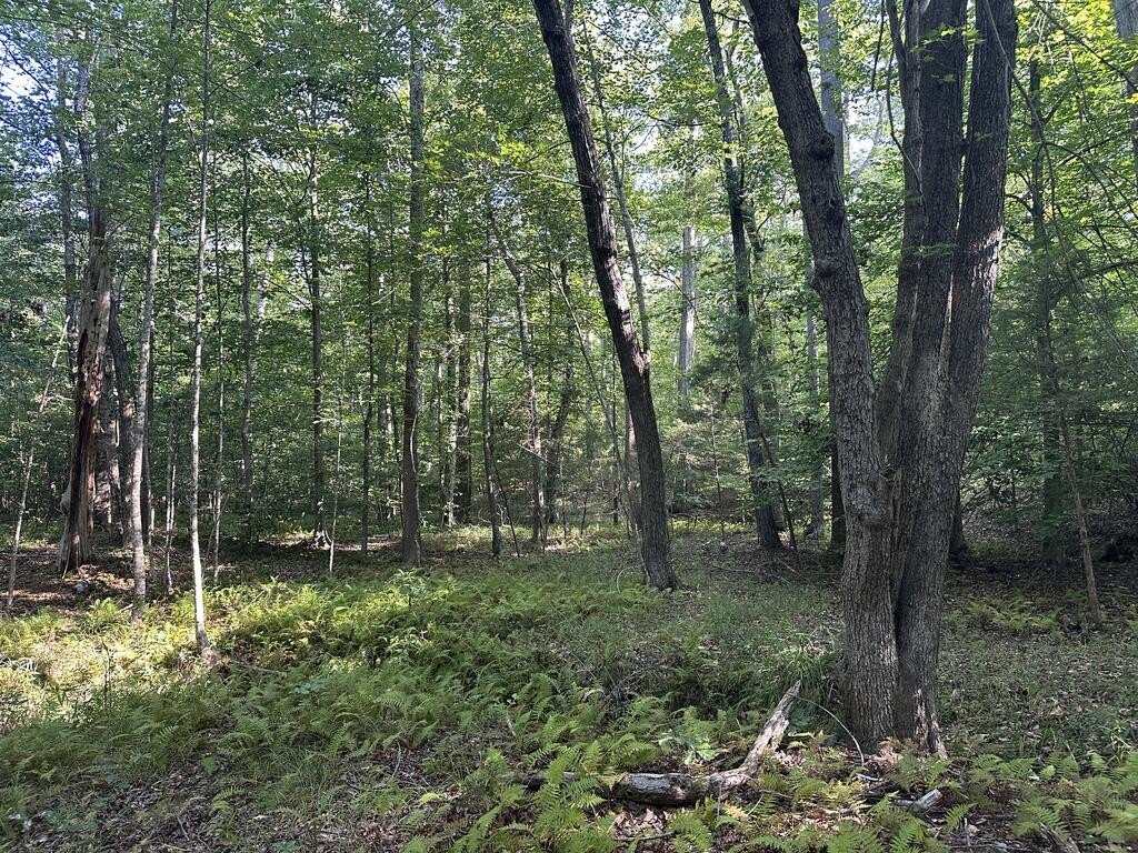 Picture 25