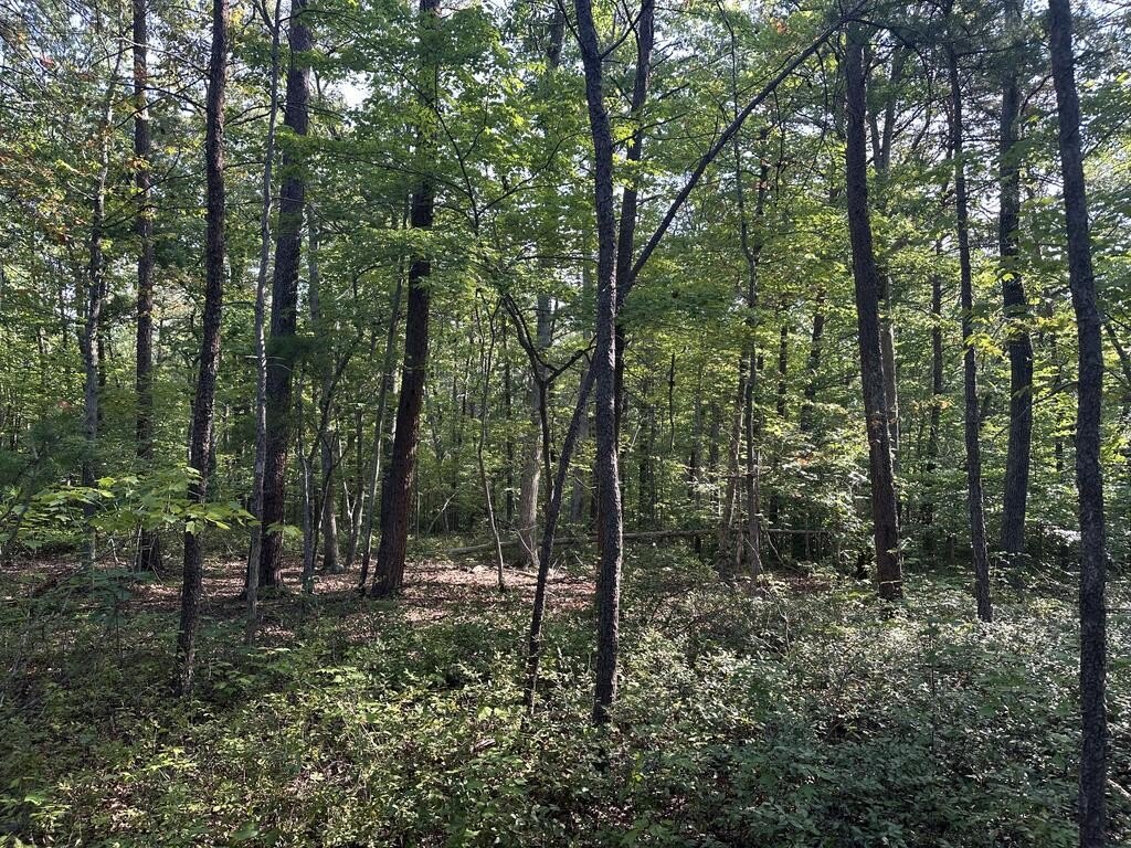 Picture 17
