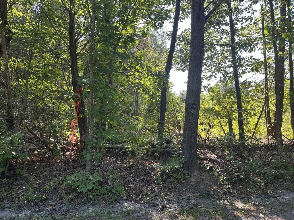 Picture 4