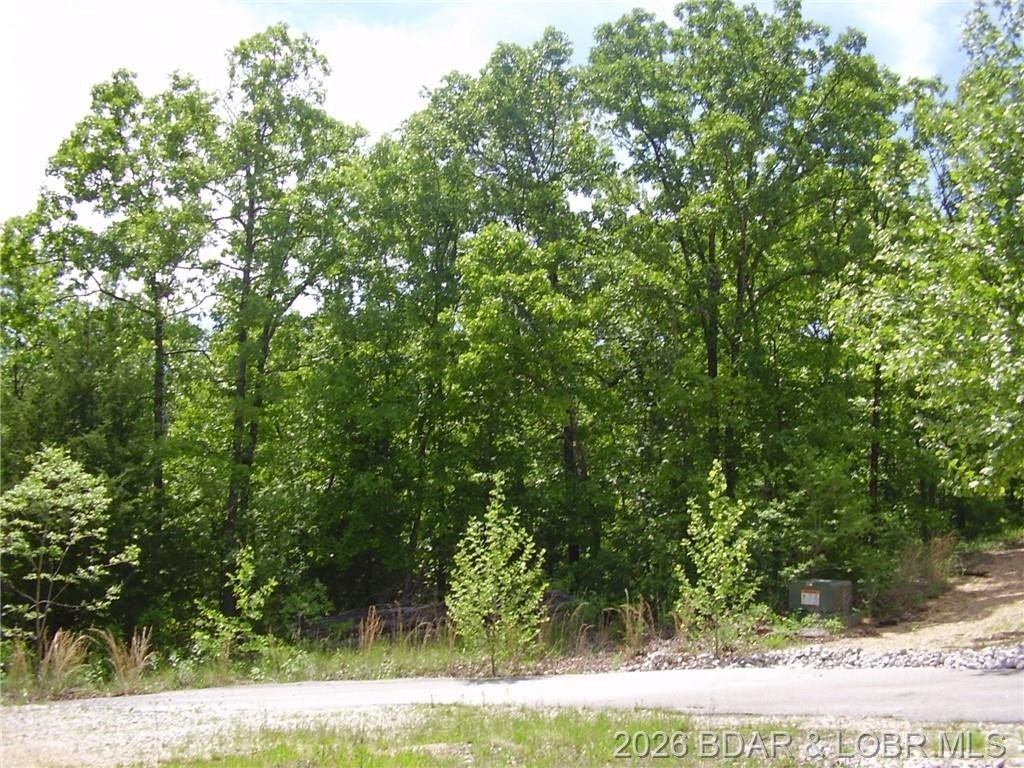 Residential Lot Near Camdenton Schools