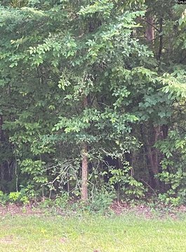 LAND - Columbia, SC