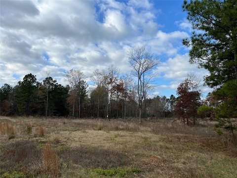 Greenwood Land in Restricted Development