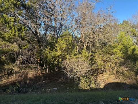 Wooded Lot Near Lake