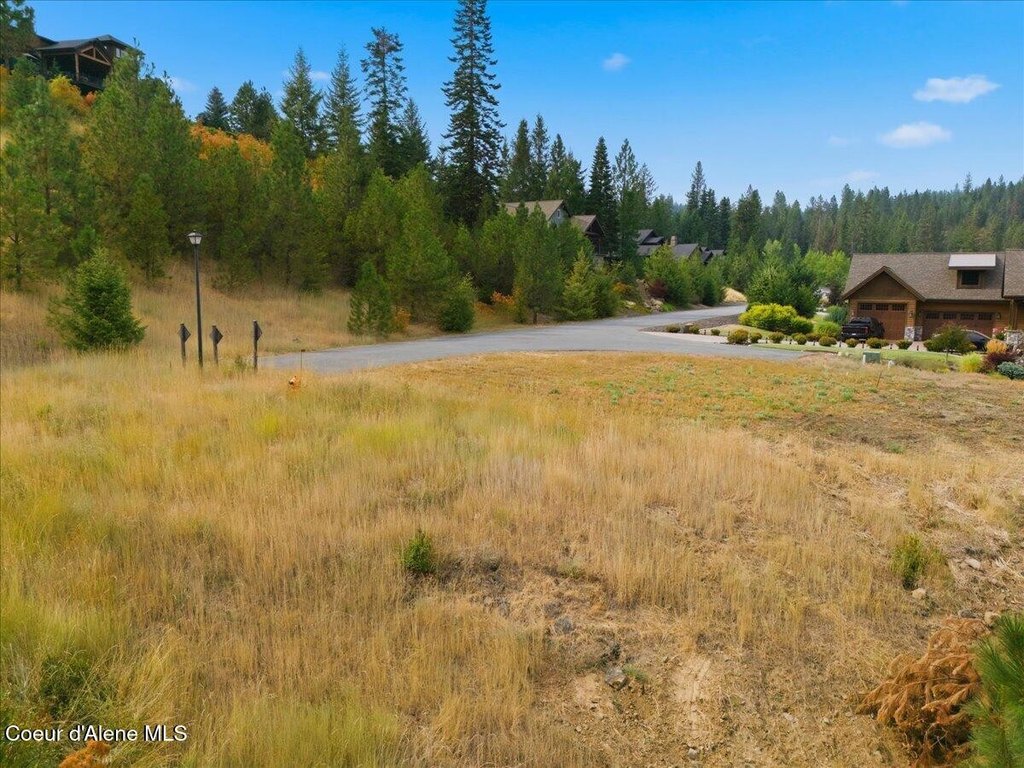 Picture 26