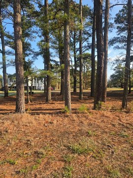 Residential Land in Oyster Bay