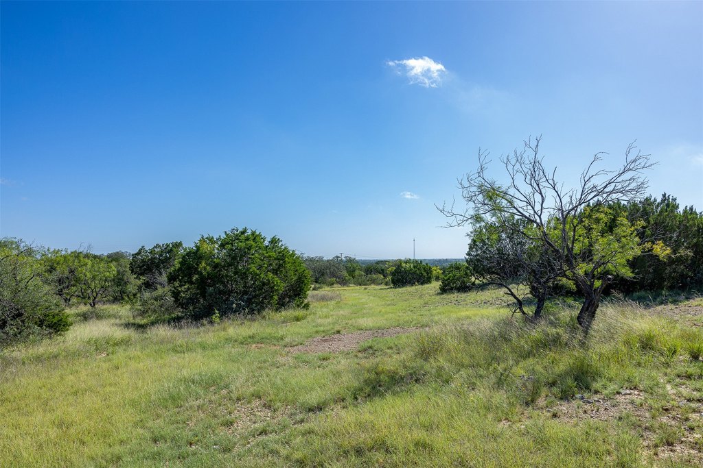 Picture 25
