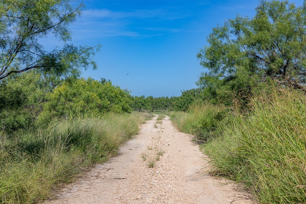 Picture 24