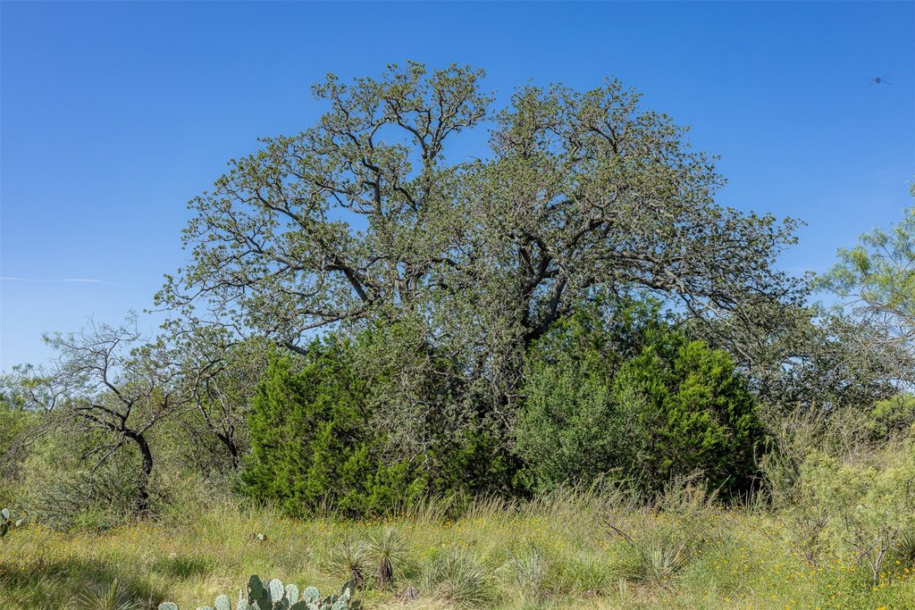 Picture 19
