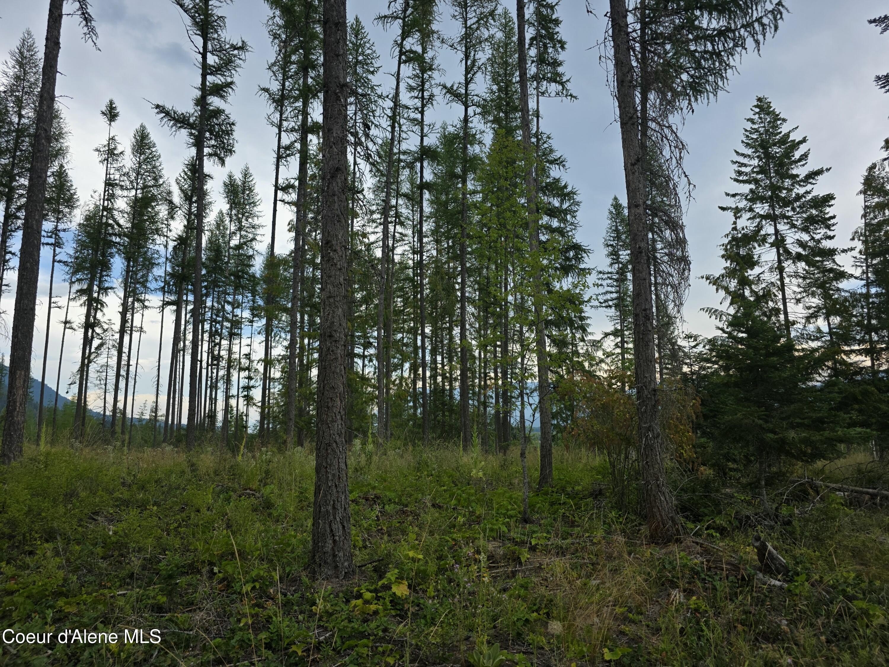 Idaho Recreational Land Opportunity