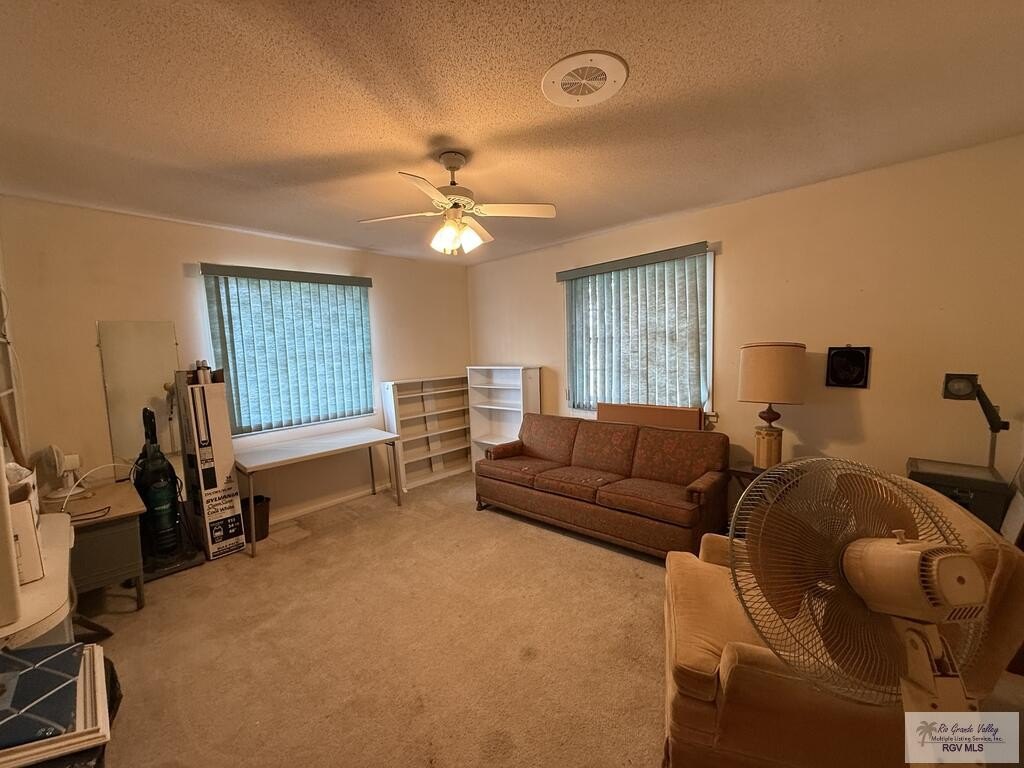Picture 19