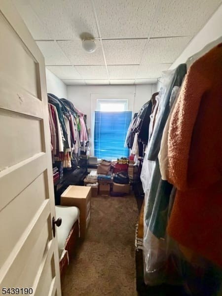 Picture 28
