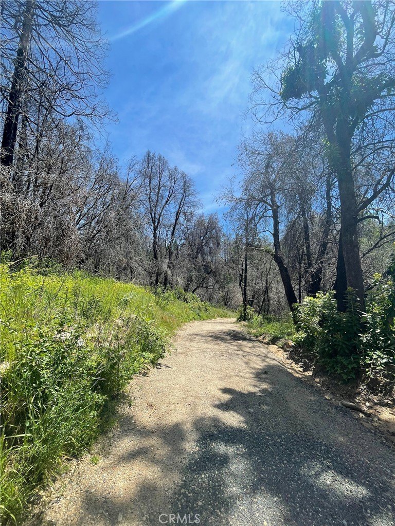 Berry Creek Land with New Well